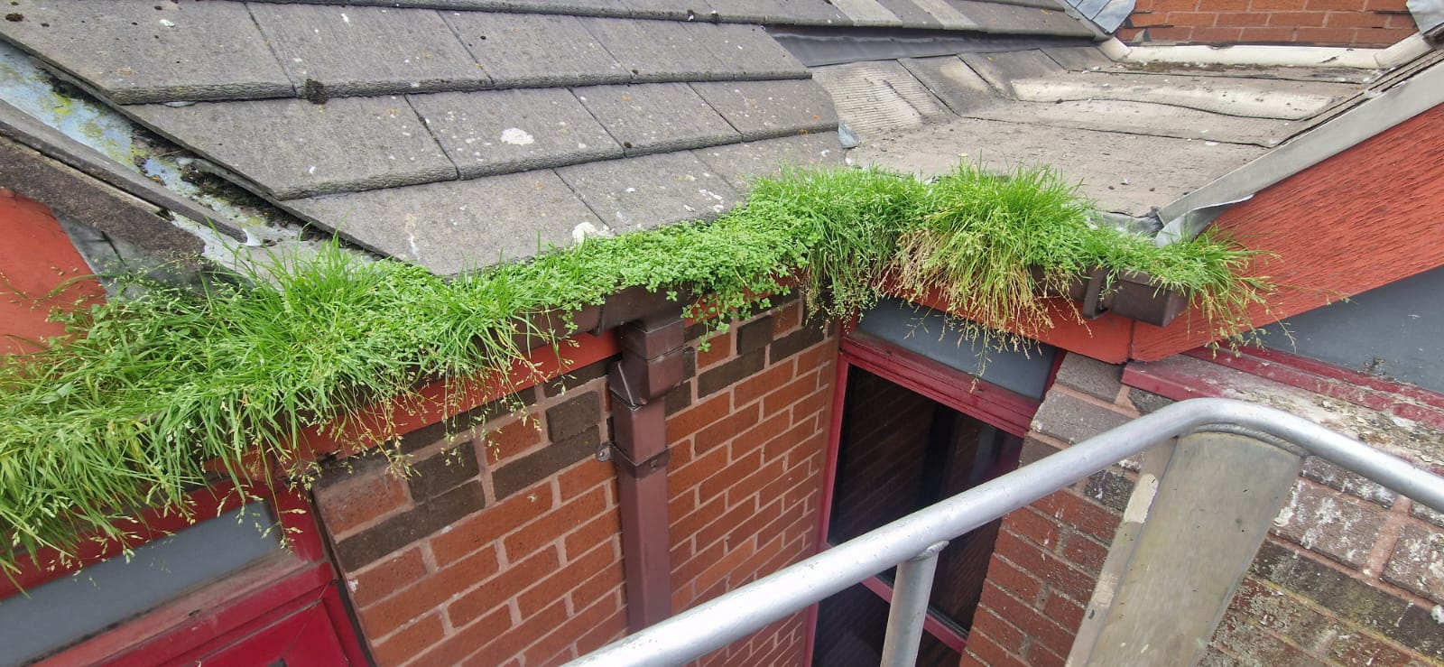Blocked gutters before cleaning by Total Gleam